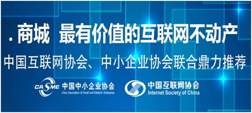 中文.商城域名中科院巡展大会 互联网应用发展的新契机